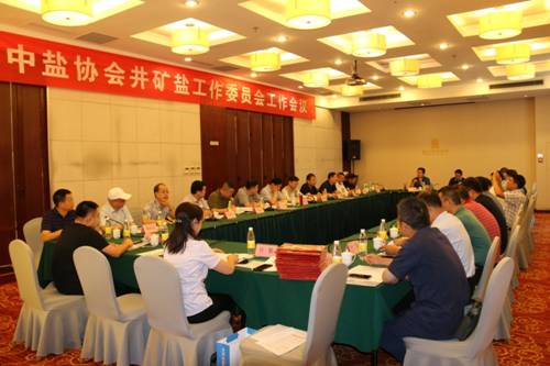 中鹽協(xié)會井礦鹽工作委員會工作會議在泰安召開